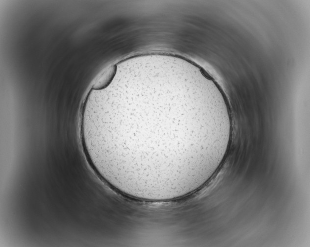 X0000094321390200711301159