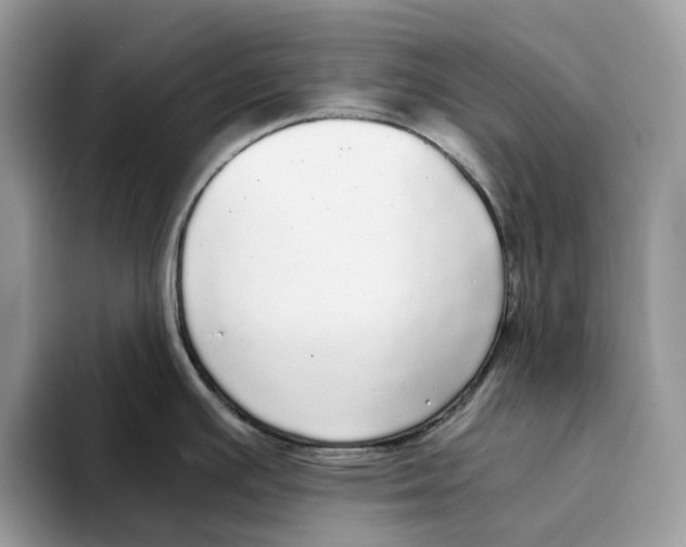 X0000094321391200711301159