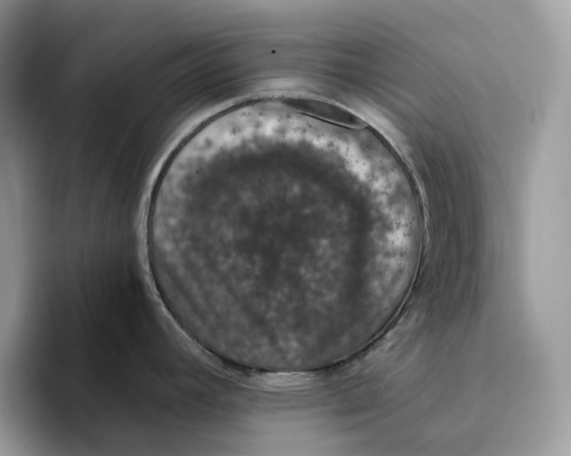X0000094321392200711301159