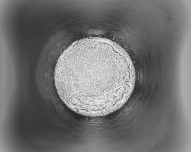 X0000094321393200711301159