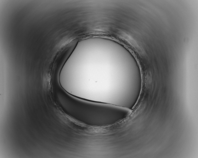X0000094321402200711301159