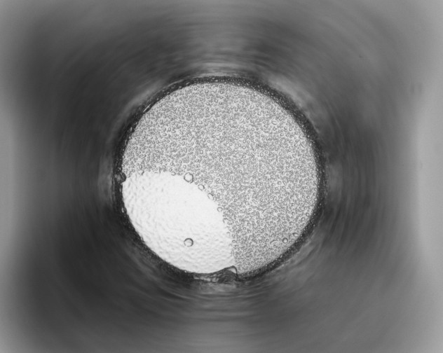 X0000094321403200711301159