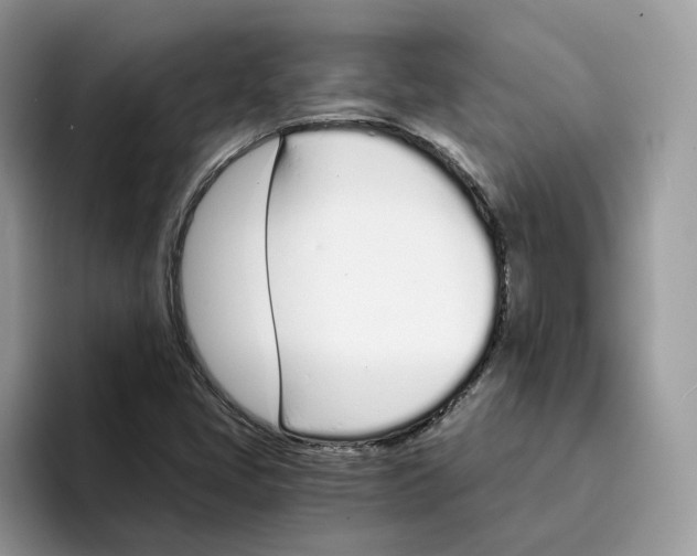 X0000094321405200711301159