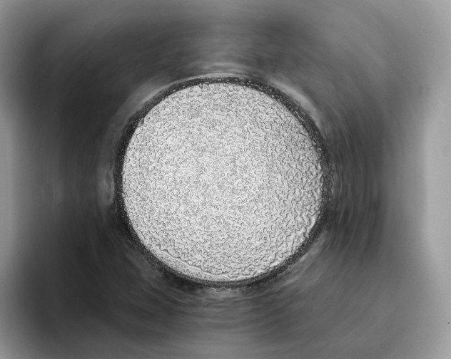 X0000094321407200711301159
