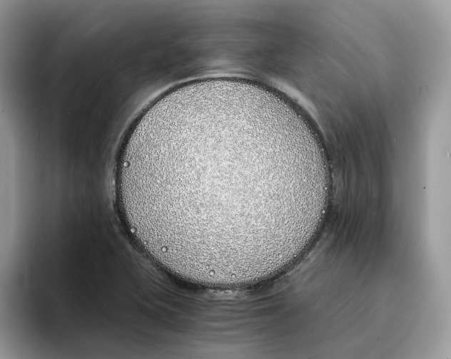 X0000094321415200711301159