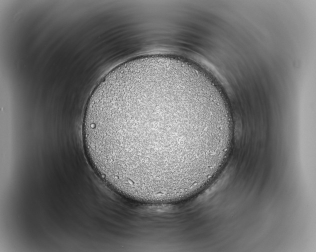 X0000094321417200711301159