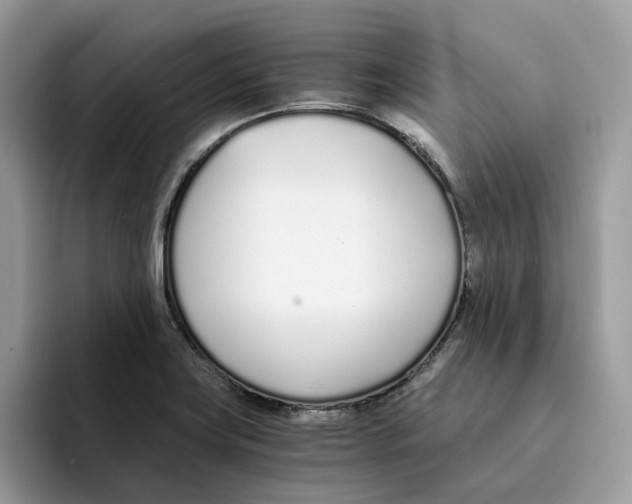 X0000094321419200711301159