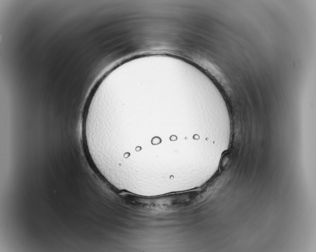 X0000094321420200711301159