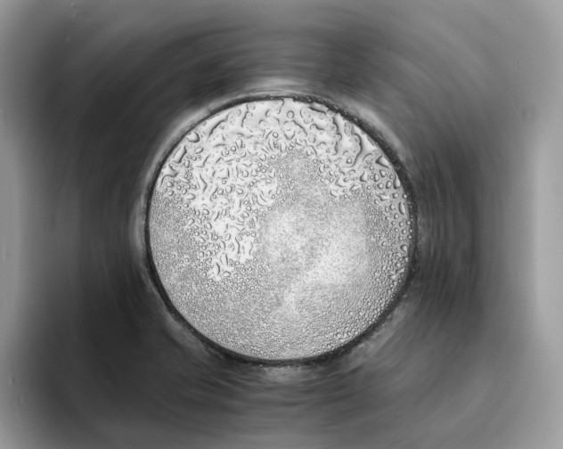 X0000094321421200711301159