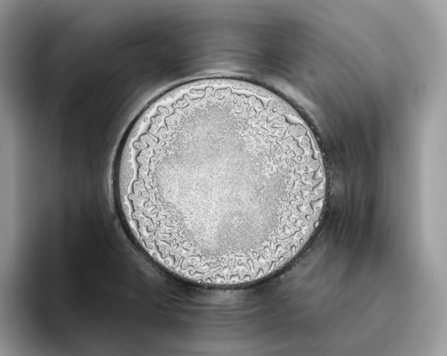 X0000094321423200711301159
