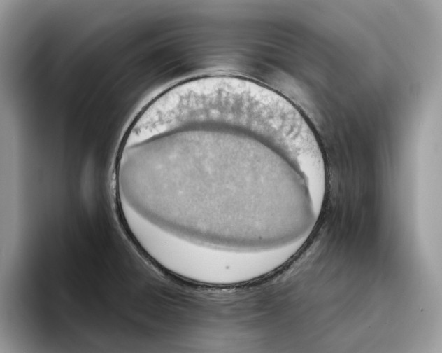 X0000094321428200711301159