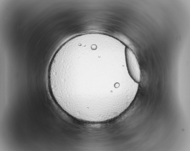 X0000094321431200711301159