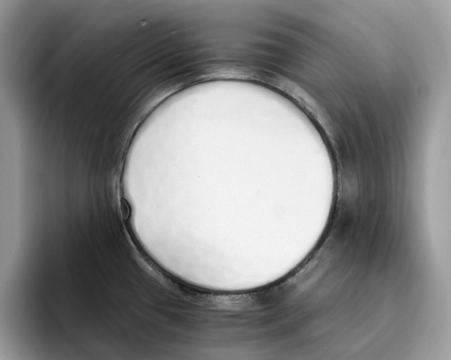 X0000094321433200711301159