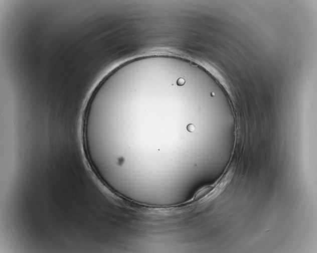 X0000094321438200711301159