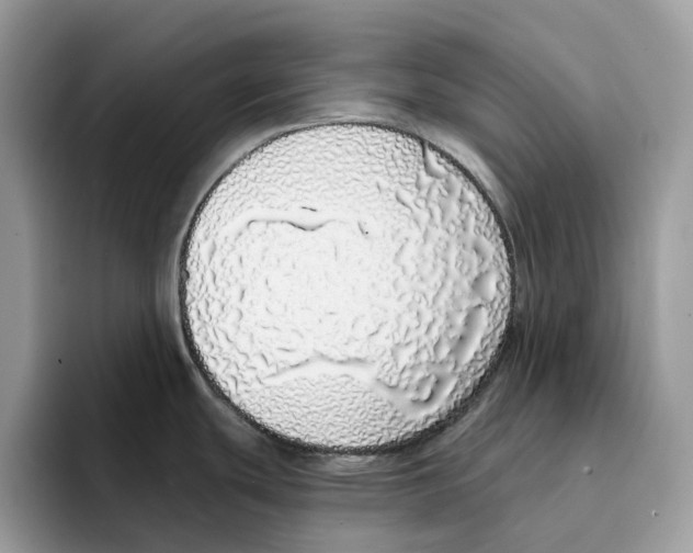 X0000094321439200711301159