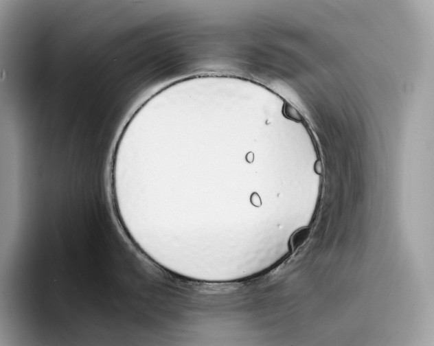 X0000094321440200711301159