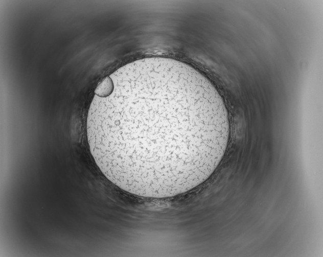 X0000094321446200711301159