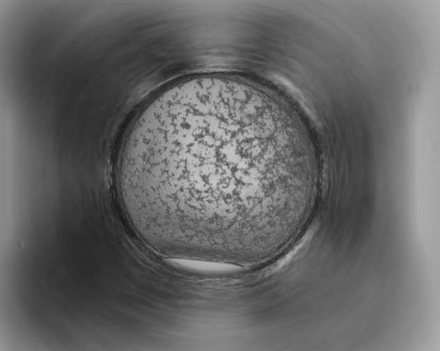 X0000094321449200711301159