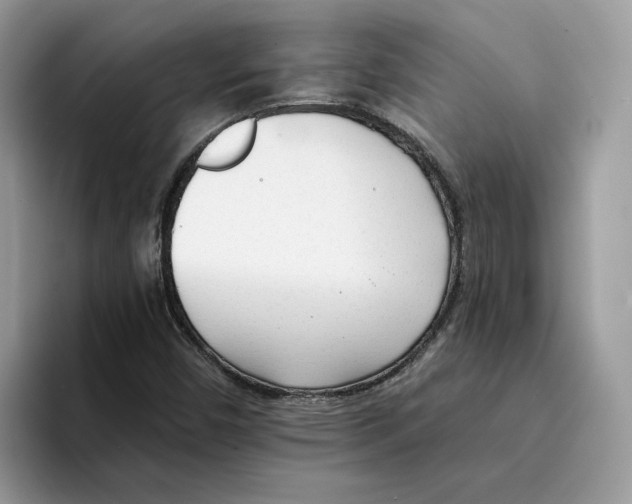 X0000094321450200711301159