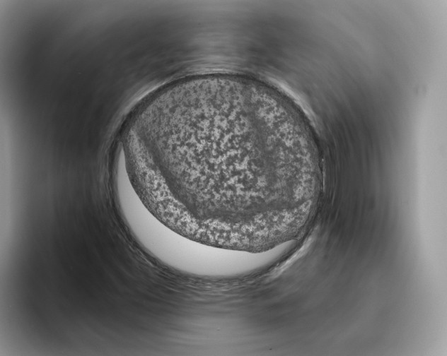 X0000094321453200711301159