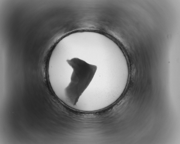 X0000094321455200711301159