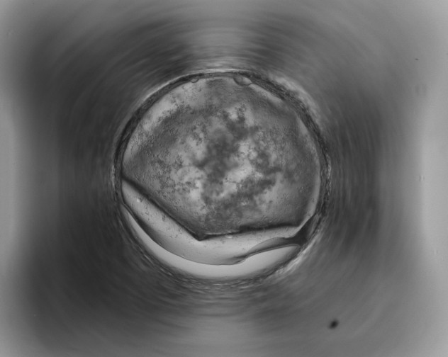X0000094321457200711301159