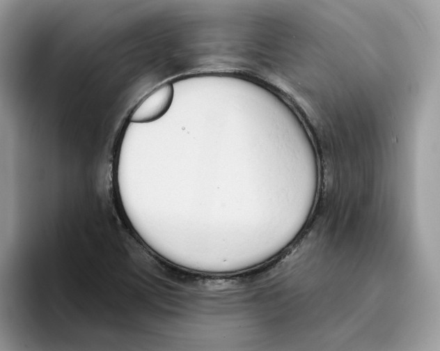 X0000094321459200711301159