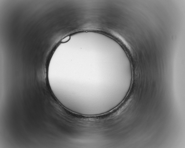X0000094321461200711301158