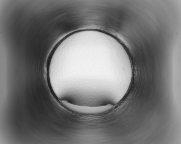 X0000094321468200711301158