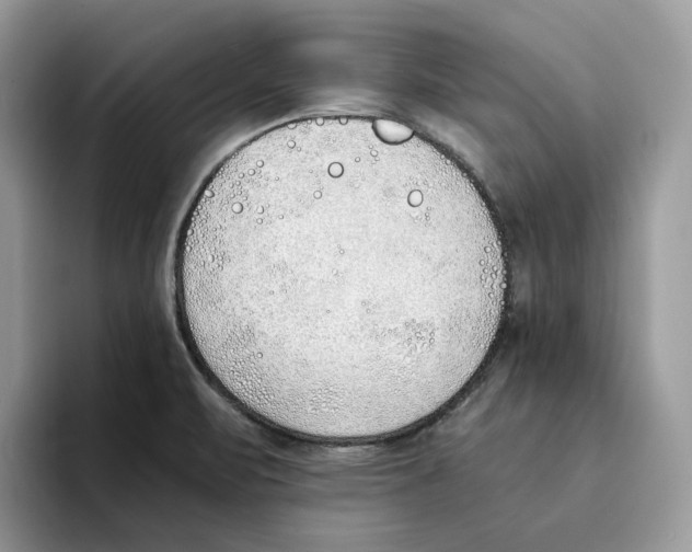 X0000094321471200711301158