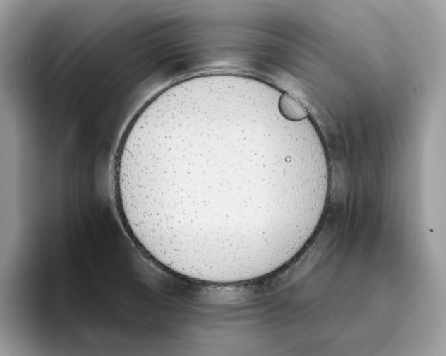 X0000094321474200711301158