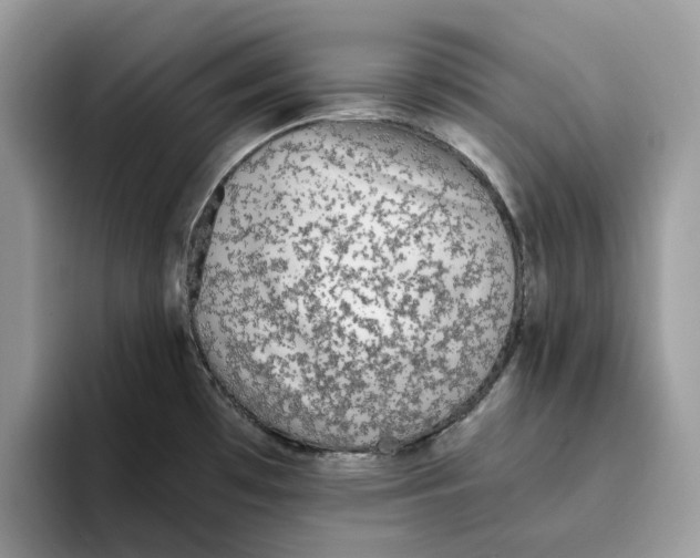 X0000094321481200711301158