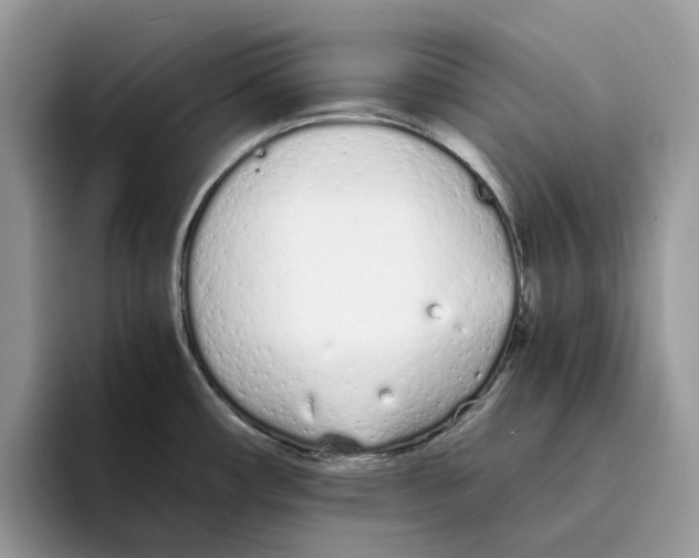 X0000094321482200711301158
