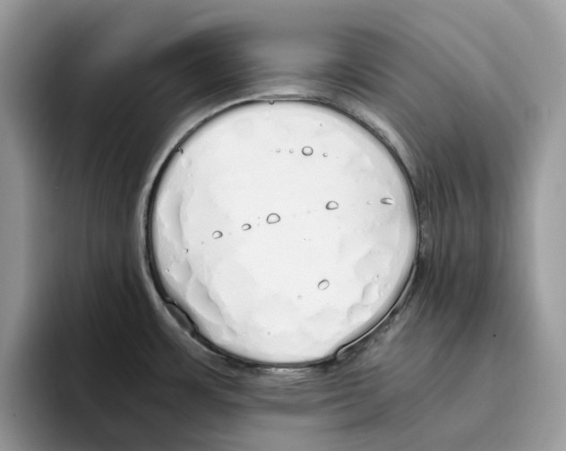 X0000094321483200711301158