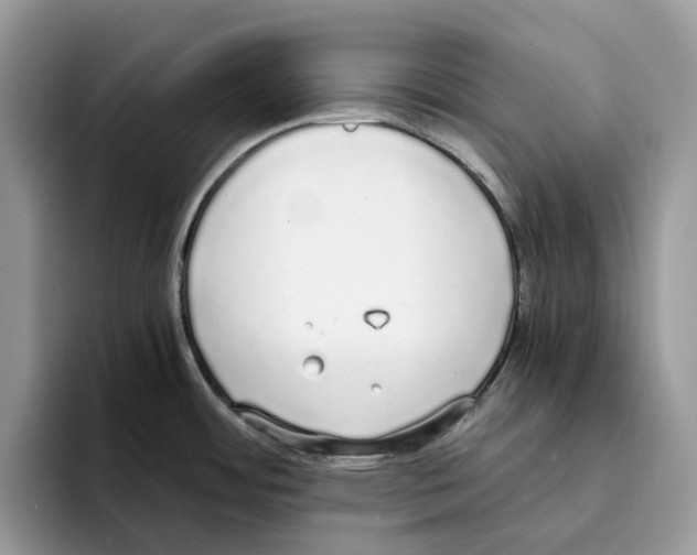 X0000094321484200711301158