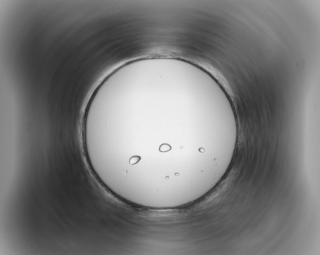 X0000094321486200711301158