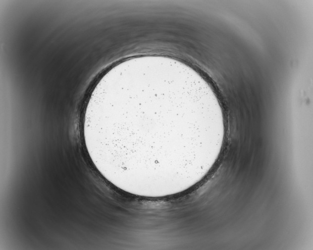 X0000094321498200711301158