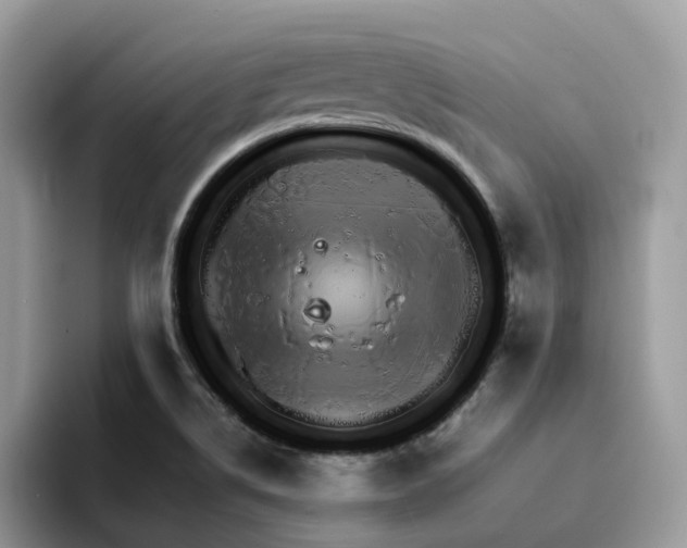 X0000094321514200711301158