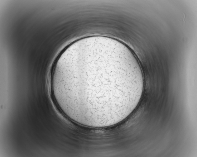 X0000094321515200711301158