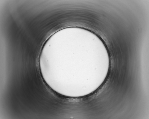 X0000094321521200711301158