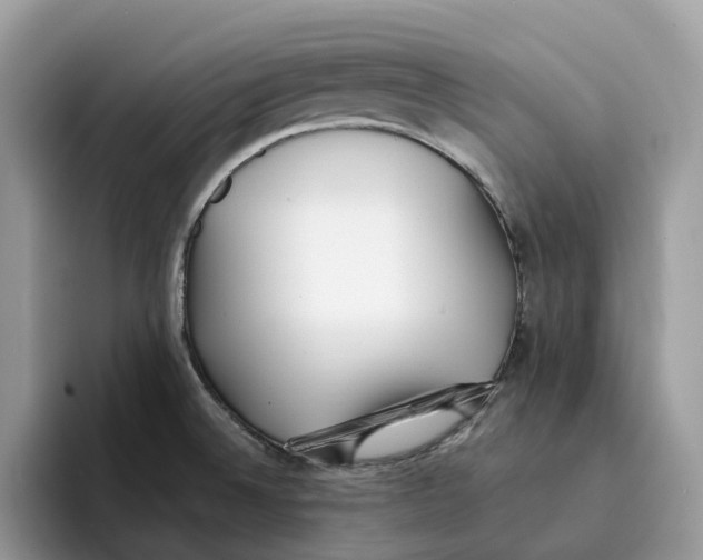 X0000094321524200711301158