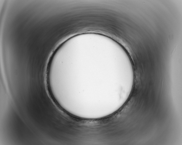 X0000094321525200711301158