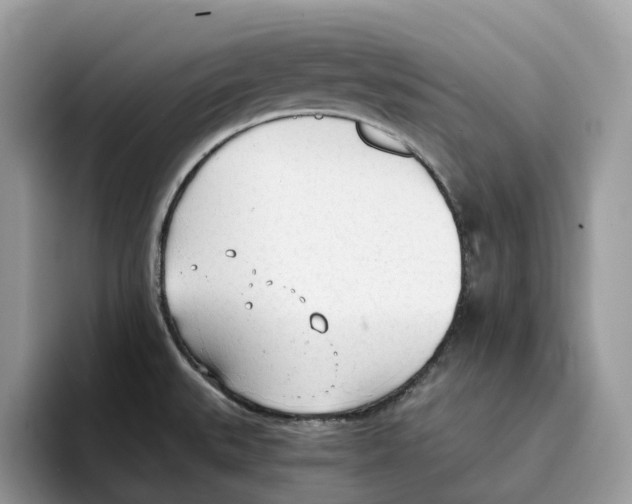 X0000094321527200711301158