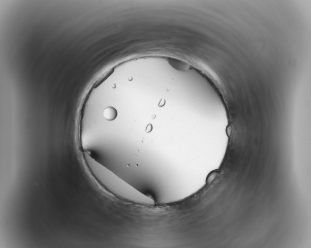 X0000094321528200711301158
