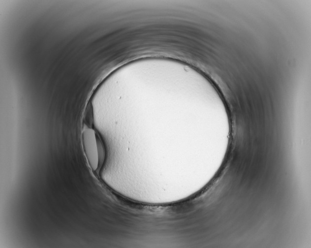 X0000094321529200711301158