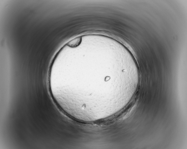 X0000094321533200711301158