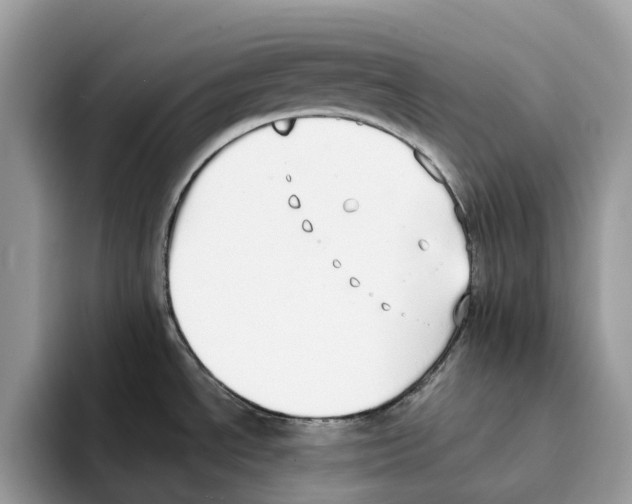 X0000094321534200711301158