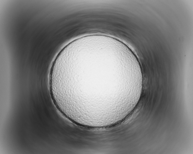 X0000094321535200711301158
