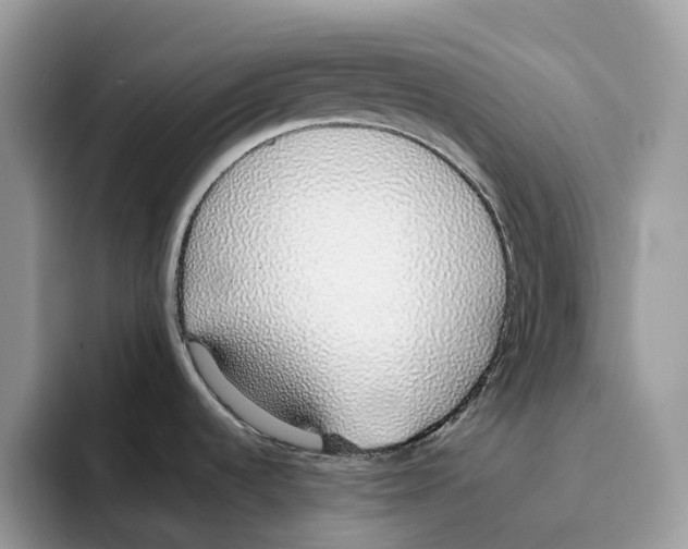 X0000094321536200711301158