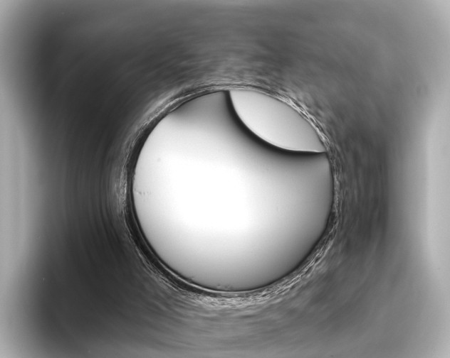 X0000094330005200711021139